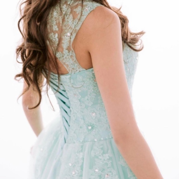 Quinceanera Ball Gown Evening Prom Dress Lace Appliques - Picture 5 of 9